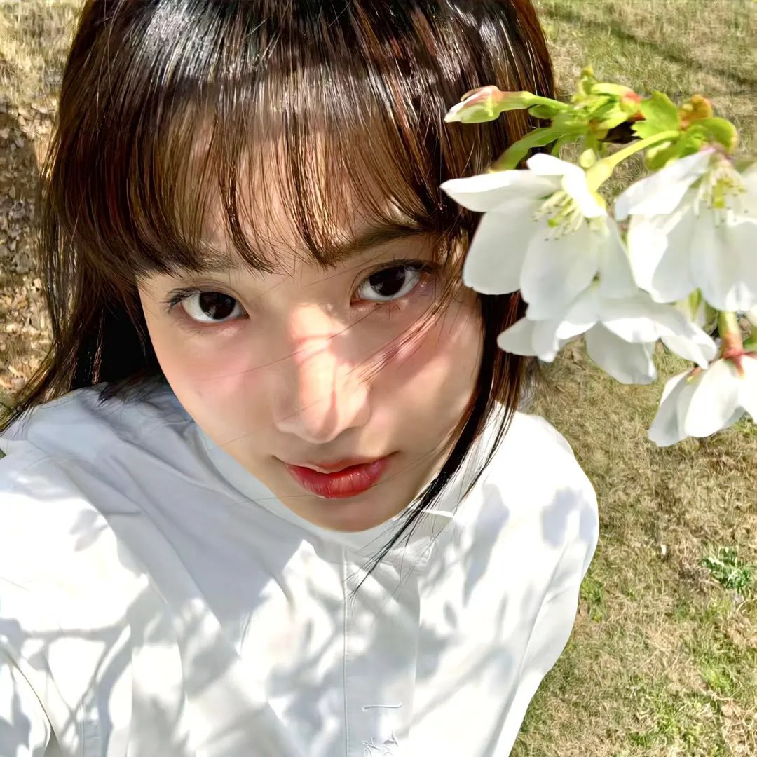 少年歌行之风花雪月